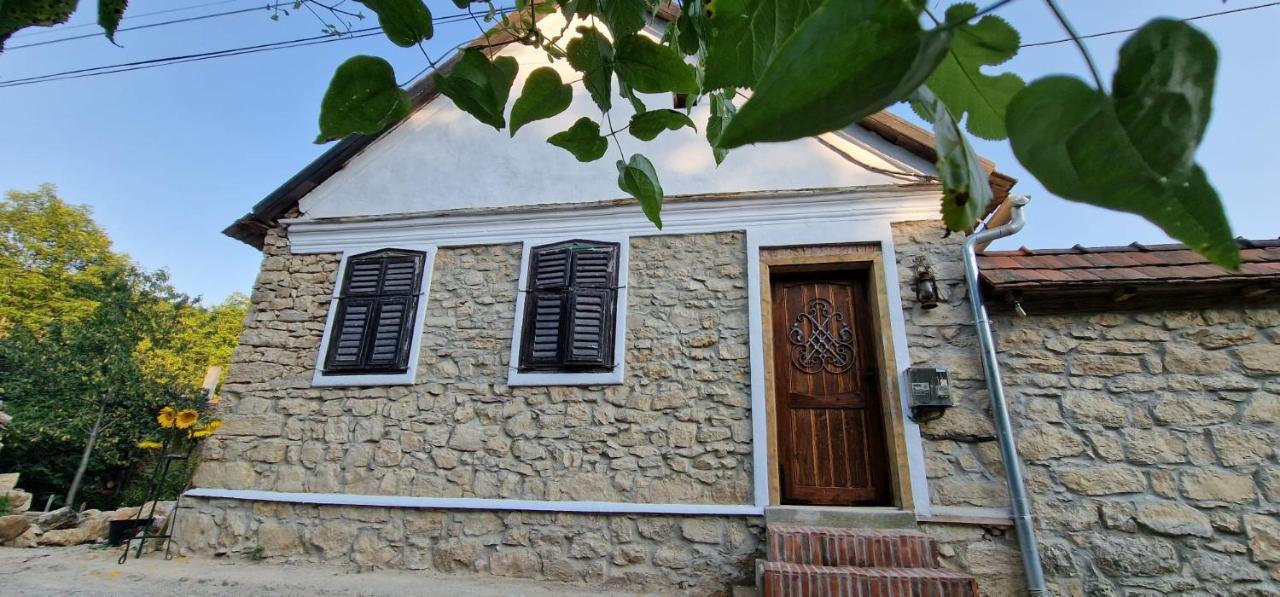 Holiday home Casageo Cheile Nerei Socolari